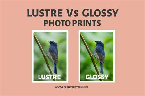 lustre vs glossy
